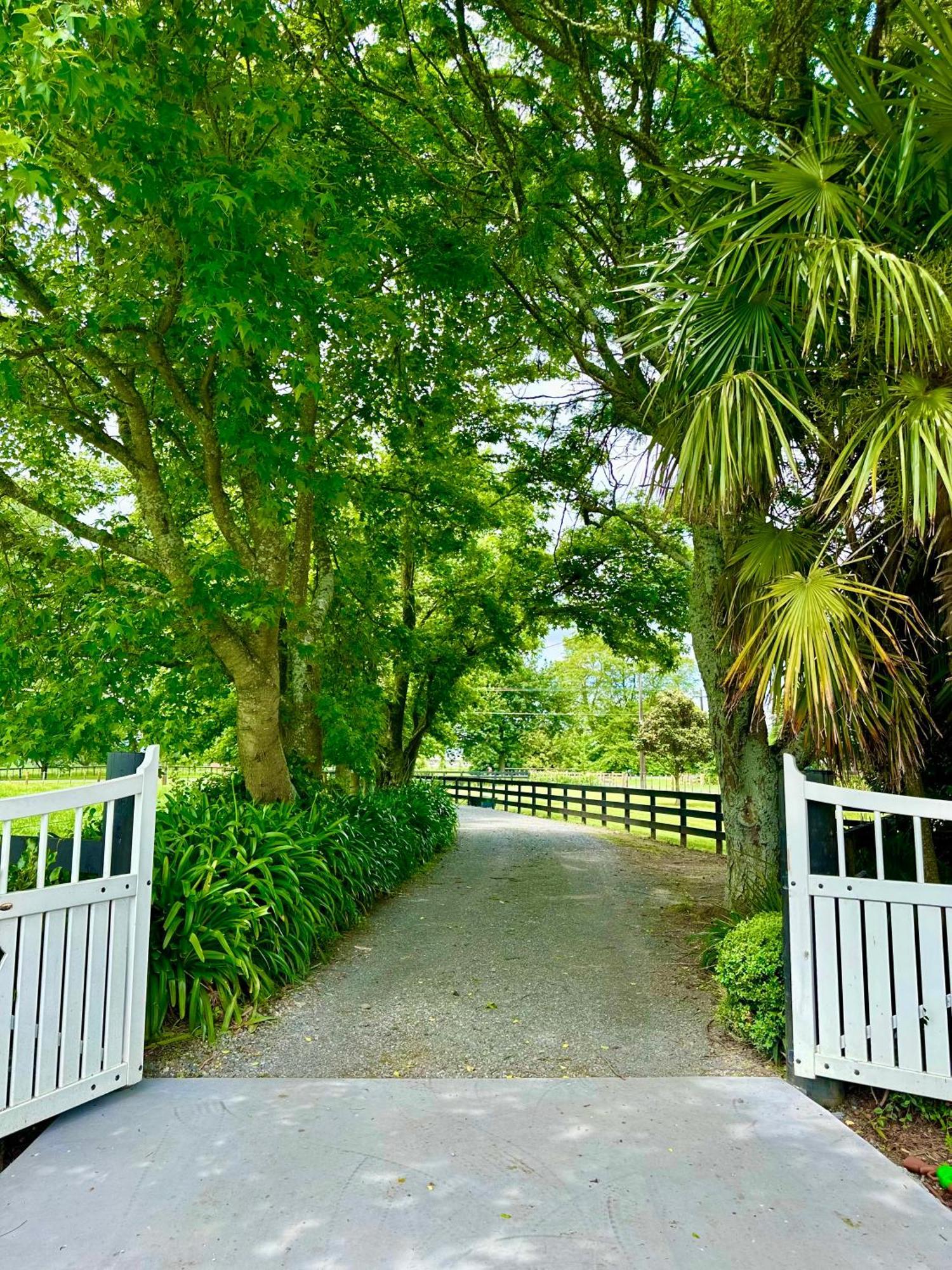 Matamata Country B&B מראה חיצוני תמונה